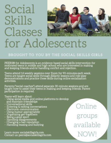 Middle School Group, Online Social Skills Groups